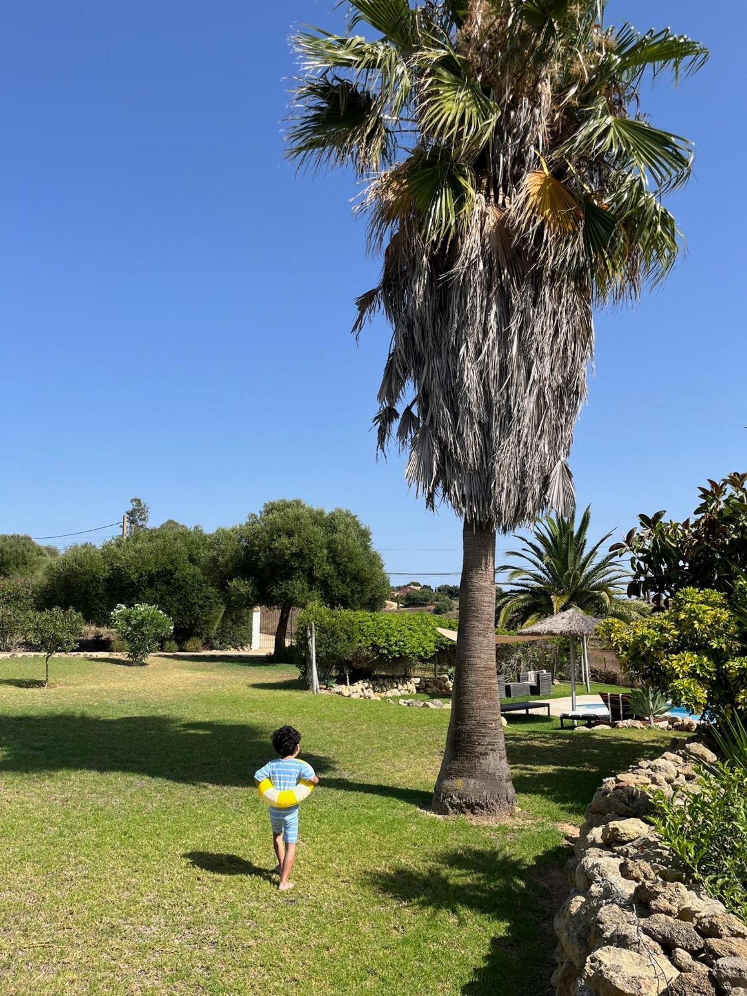 Finca La Vina Vejer de la Frontera Exteriér fotografie