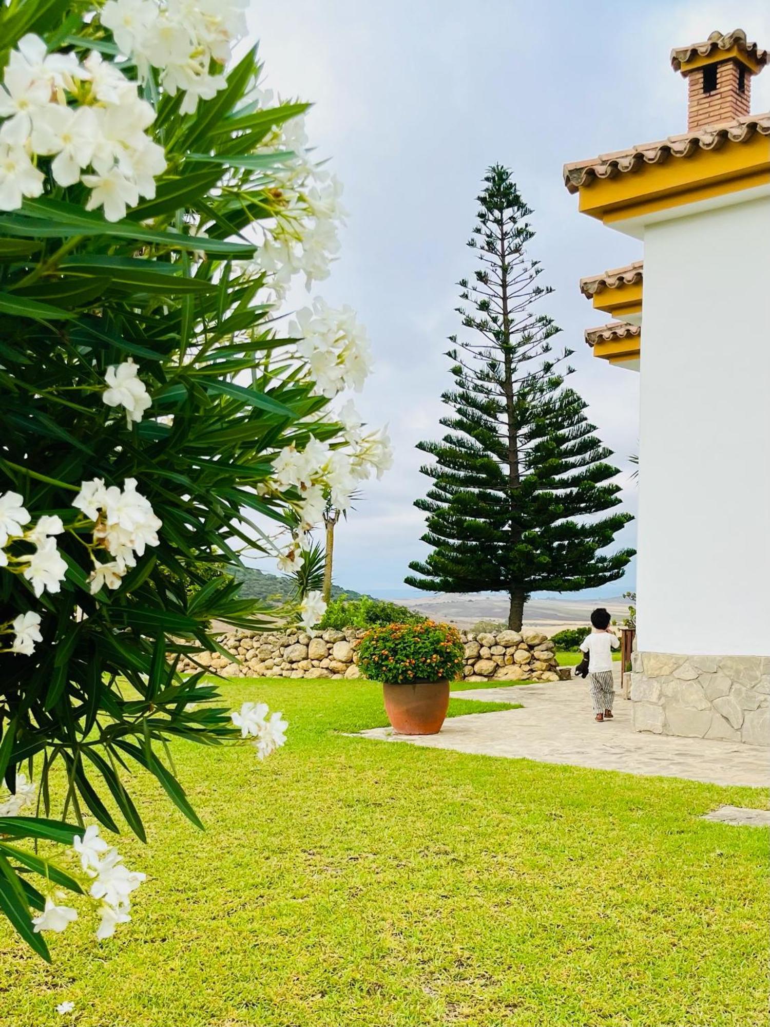 Finca La Vina Vejer de la Frontera Exteriér fotografie